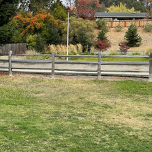 Landscape Plan (2)