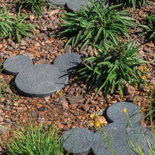 Landscape Ideas