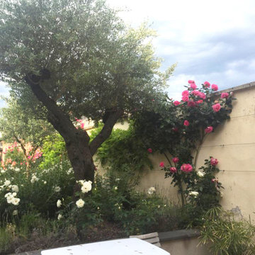 Avant/Après, un écrin de verdure en ville