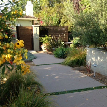 Del Mar Contemporary