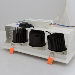 LED down light - Ceiling Lighting