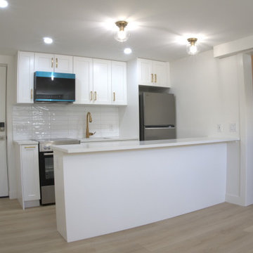 Complete Lower Level & Basement Remodel in Vancouver East