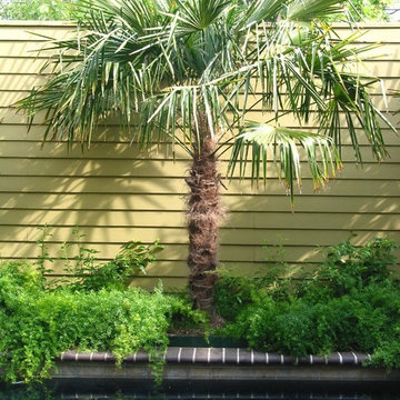 Miscellaneous Gardens and Pretty Things