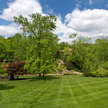 Oasis Turf & Tree
