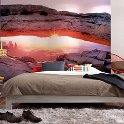 National Geographic Murals - Wall Decals