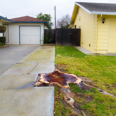 Where Front Yards Collide: Property Lines in Pictures