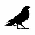 Raven Painting & Renovations's profile photo