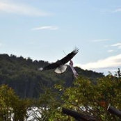 Todd Macauley's photo