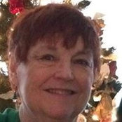 Terry Kohls foto