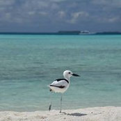 Sabine Gruber's photo