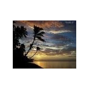 Fabian Licon's photo