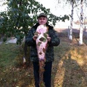 Владимир мигальs foto