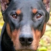 Chris Bevillard's photo