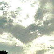 Karen Labonte's photo