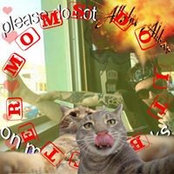 Dalton Steiner's photo