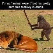 Alma Squillante's photo