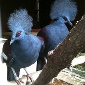 Kesavanathan Krishnaswamy's photo