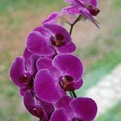 Nataliya Yevtushenko's photo