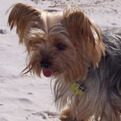 Joan Bentley's photo