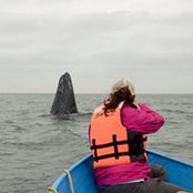 Kathy Simmons's photo