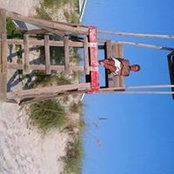 Lisa Buckner's photo