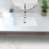 STYLISH Brushed Gold Pop-Up Bathroom Sink with Overflow Set of Two