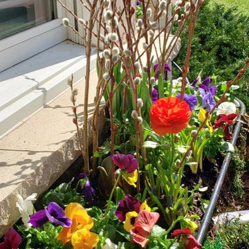 Spring Container Garden