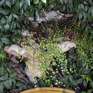 Un jardin épuré à Gardanne
