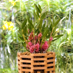 Better-Gro Cedar Octagon Hanging Baskets, Set of 2 - Outdoor Pots And Planters