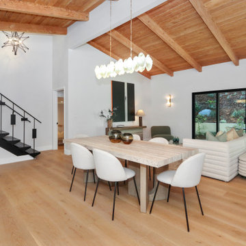 Stylish Mid-Century Modern