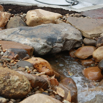 Ponds and Streams