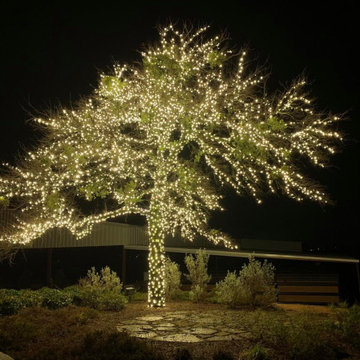 Call Us Today for Holiday Lighting Estimates