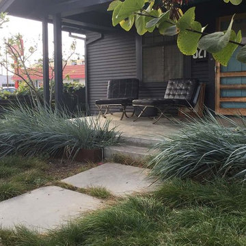 2018 Native Plant Garden Tour