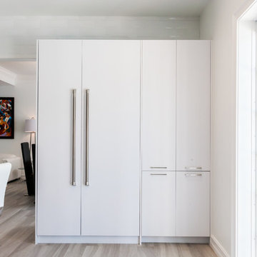 Contemporary Kitchen Remodel (Miami, FL)