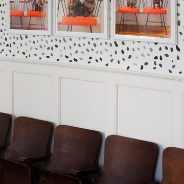 My Houzz: A Celebration of Color in an Artist’s Family Home