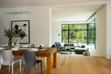 Inspiration for a modern kitchen/dining combo in Boston with medium hardwood floors and brown floor.