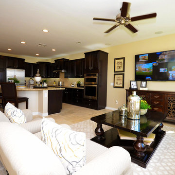 Intrigue @ Marbella Vineyards | Gilbert, AZ | 4094 - Entice Plan