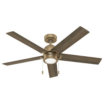 52" Erling Burnished Brass Ceiling Fan, LED Light Kit and Pull Chain