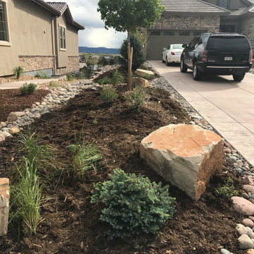 Xeriscape & Landscape Design