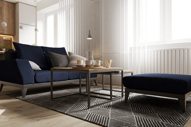 Trendy living room photo in Other