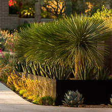 Final Landscaping