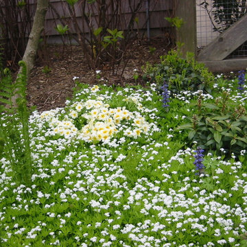 East Hampton formal landscape and woodland pathways