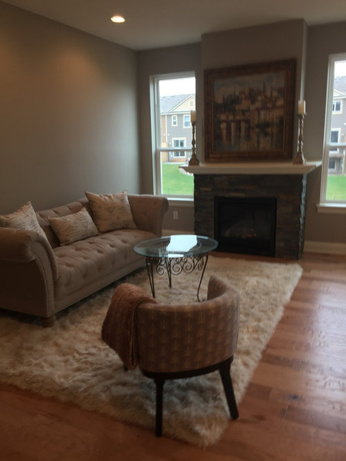 New house need living room decorating ideas!