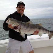 Tim Robbs billede