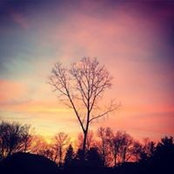 Maureen Bishs foto