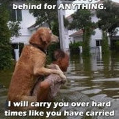 Sharon Eeten's photo