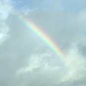 Laurie Joines's photo