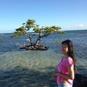Qingru Shen's photo