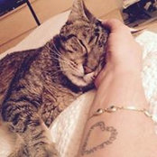 Omur Tutuncu's photo