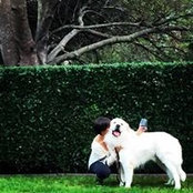 Meaghan Praznik's photo
